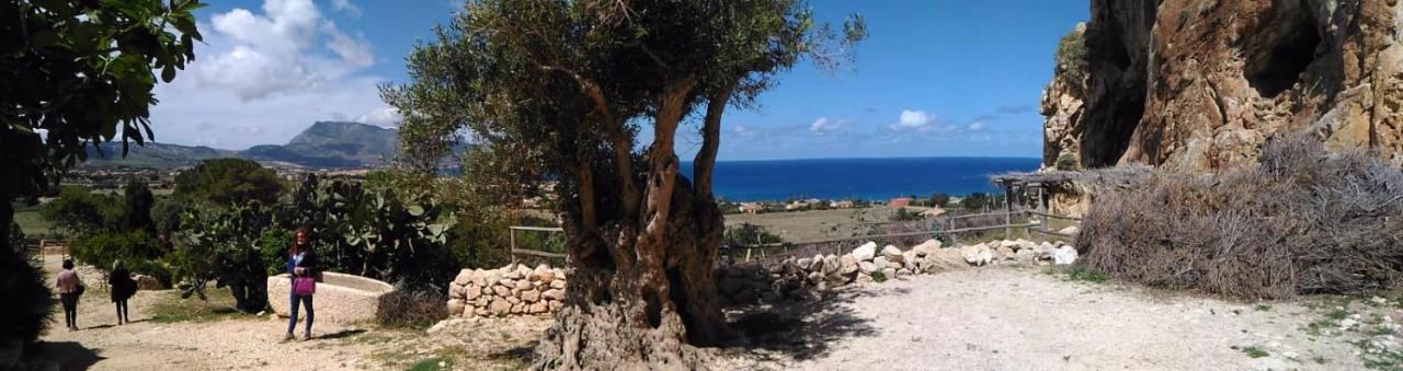 Baia Cofano Home Custonaci Eksteriør billede